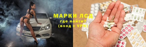 ГАЛЛЮЦИНОГЕННЫЕ ГРИБЫ Кодинск