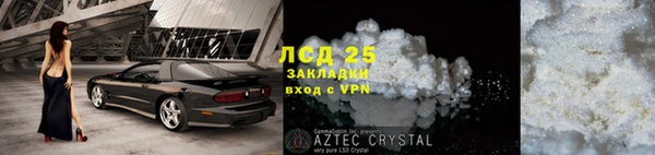 ГАЛЛЮЦИНОГЕННЫЕ ГРИБЫ Кодинск