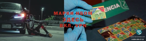 ГАЛЛЮЦИНОГЕННЫЕ ГРИБЫ Кодинск