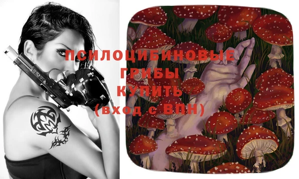 прущий лед Козловка
