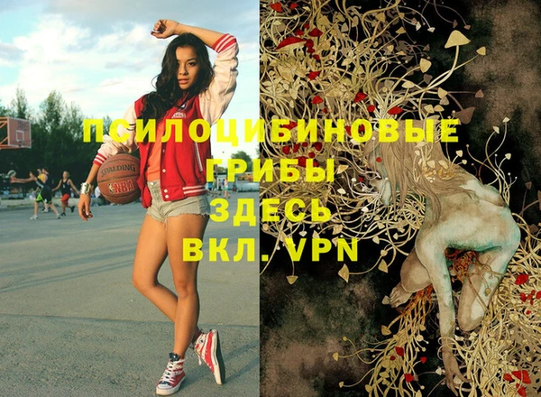 первитин Козельск