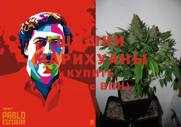 первитин Козельск