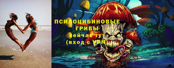 прущий лед Козловка