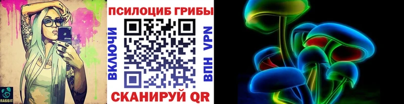 Купить где  Вытегра  Псилоцибиновые грибы GOLDEN TEACHER 
